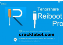 Tenorshare ReiBoot Pro Crack