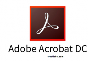 Adobe Acrobat Dc 2021 007 20091 Crack With Serial Key Here