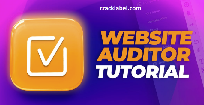 website auditor crack